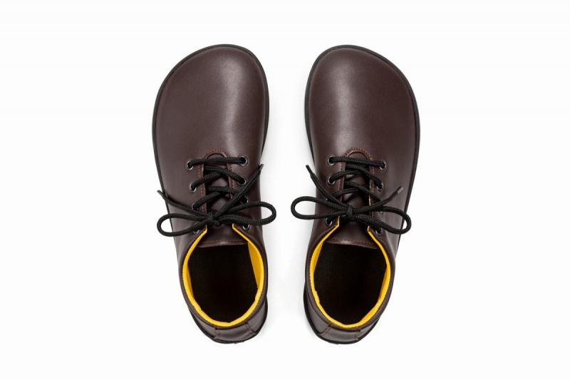 Chaussures Casual Ahinsa Ananda Barefoot Homme Marron | OVK3249BG