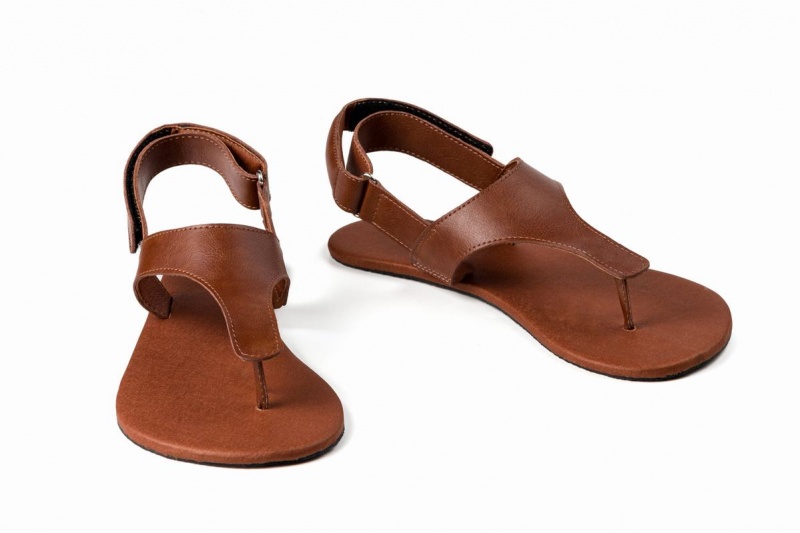 Sandales Ahinsa Simple Barefoot Homme Marron | LHG2562JU