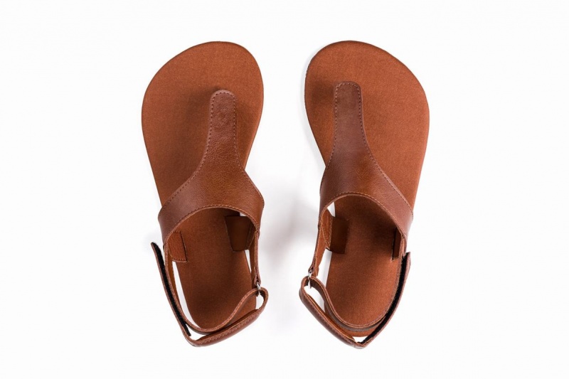 Sandales Ahinsa Simple Barefoot Homme Marron | LHG2562JU