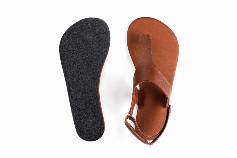 Sandales Ahinsa Simple Barefoot Homme Marron | LHG2562JU